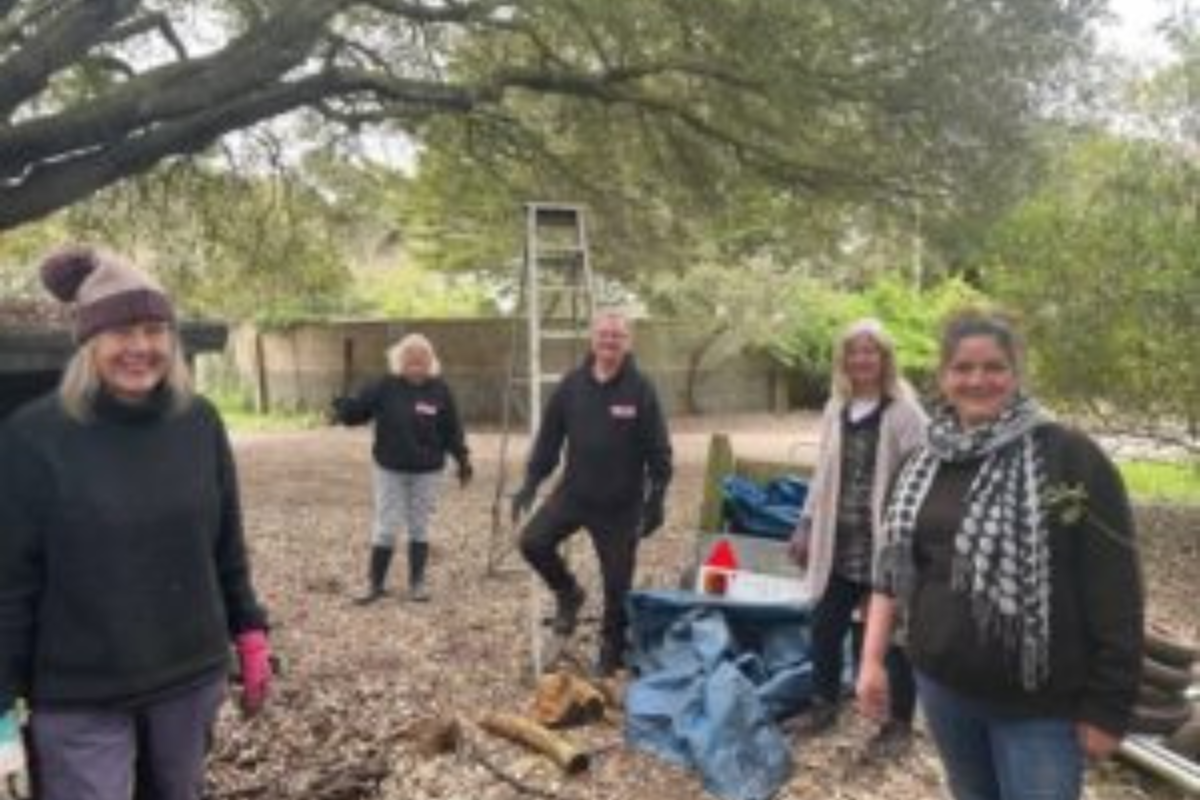 Supporting The Warden's Trust with a garden clear-up